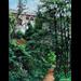 Bridge Path